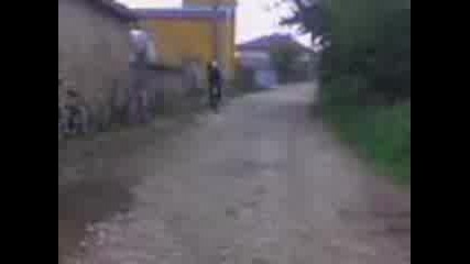 Sled Dajd 