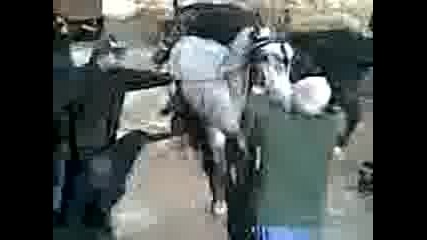 Kone Ram4o
