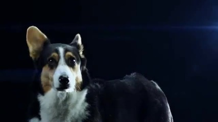 Swedish House Mafia - Save The World