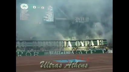 Панатинайкос 3 - 0 Динамо Тбилиси *22.07.2008* Хореография 