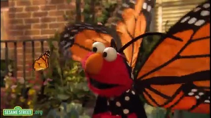 Sesame Street_ Song_ Little Butterfly Friend