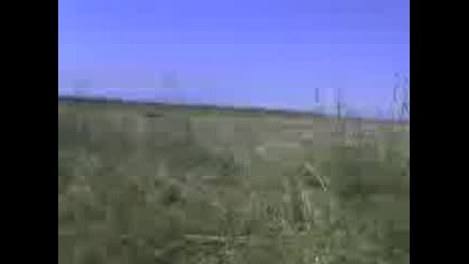 Почивка На Полето Под Ремаркето