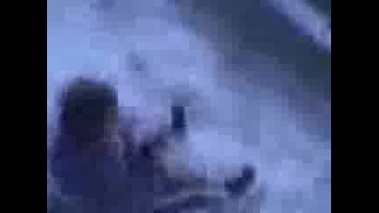 Видео011.3gp
