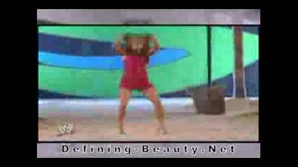Wwe Divas ~ Winning Women
