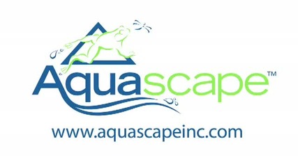 Aquascape - The Unique Outdoor Living Space of Designer Brian Helfrich
