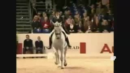 Equestrian - Poker Face 