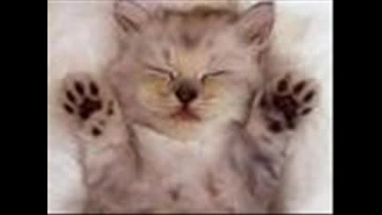 Beyonce - Dangerosly In Love
