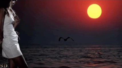 Ennio Morricone - Le Professionnel
