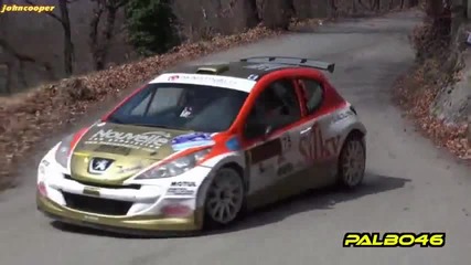 Rally dei Laghi 2013
