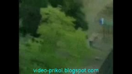 Внимание!!! Идиоти зад волана. 
