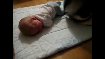 Куче успокоява бебе като пее
