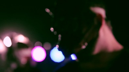 The Bunny The Bear - Ocean Floor