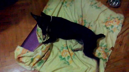 Vid_20150627_213445
