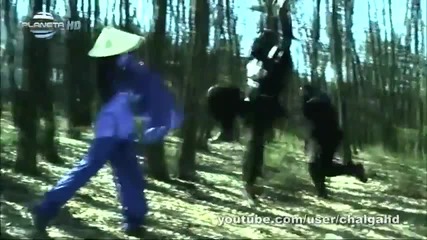 Ани Хоанг - Не вярвам (oficial Hd video) 