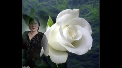 Liki - Edna Bulgarska Roza 