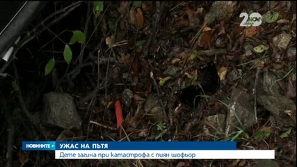 Пиян шофьор излетя от пътя и прегази четиригодишно дете - Новините на Нова