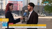 Протест пред парламента: Активисти отново се затварят в клетки заради нехуманно отглеждане на телета
