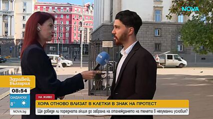 Протест пред парламента: Активисти отново се затварят в клетки заради нехуманно отглеждане на телета