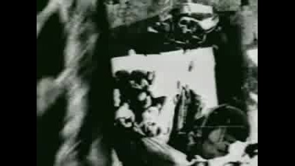 Marilyn Manson - Cryptorchid