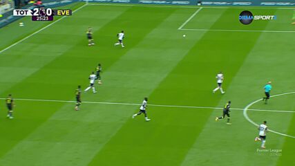 Tottenham Hotspur vs. Everton - 1st Half Highlights