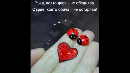 Една песен за влюбени гълабчета