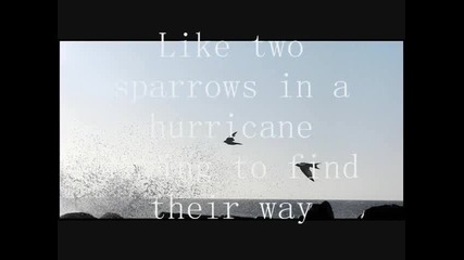 Tanya Tucker - Two Sparrows In A Hurricane (lyrics)
