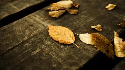 Marco Bailey - Whispering Leaves (original Mix)