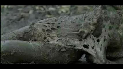 Hisss (2010) - Трейлър на филма