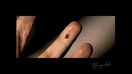 Twilight 2 - New Moon Trailer 