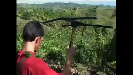 National Geographic Wild Chronicles Costa Rica Birds