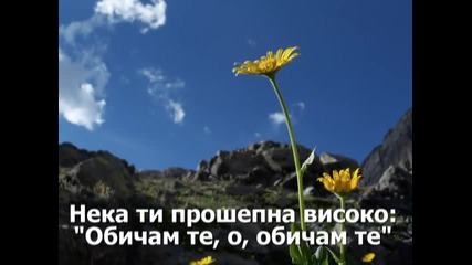 Israel Houghton - You Are Not Forgotten (ти не си забравен) Vbox7 