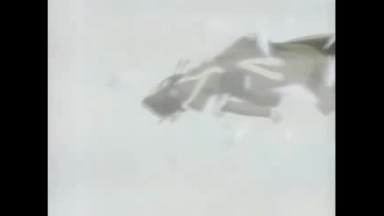 Animal I Have Become - Naruto