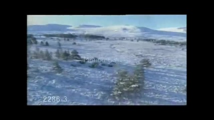 Wolves - On my way
