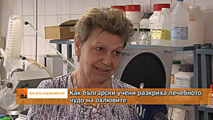 Как български учени разкриха лечебното чудо на охлювите