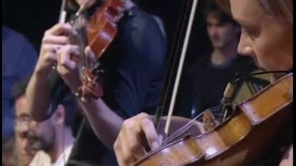 Pj Harvey Down by the Water on Jools Holland