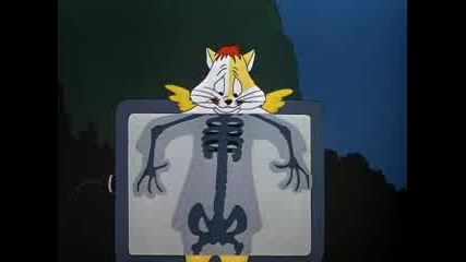 Looney Tunes The Hypo Chondri Cat