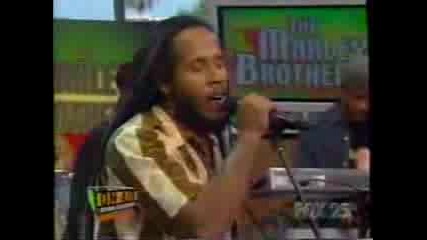 Marley Brothers - Coud You Be Loved 