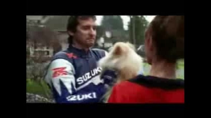 Реклама На - Suzuki - Gsxr - Chien