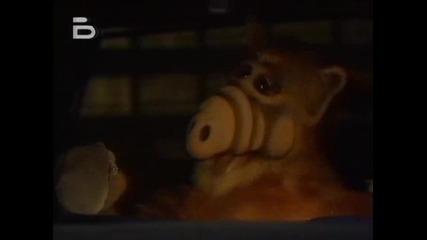 Alf.4x15 