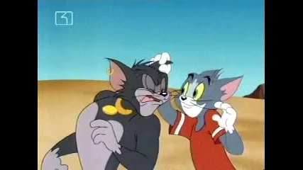 Том и Джери - bad boys