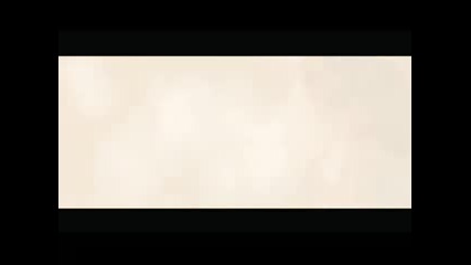 Sunshine Trailer