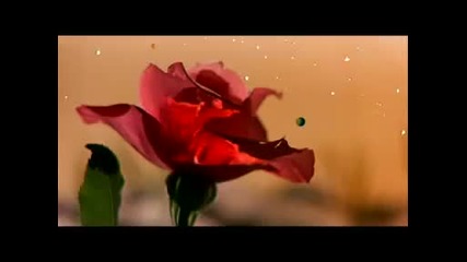 Xandria - Like a rose on the grave of love