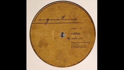 Calibre - Hustlin (feat Drs)_(480p)