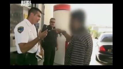 Animal Cops Miami - Caught in the Act