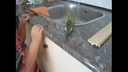 Riki i Kiki 23 6 2008