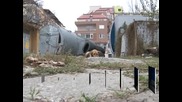 Глоби до 500 лв. за хранене на улични животни във Варна