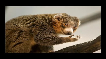Sasha - Mongoose (deepfunk Twooten Unofficial Remix)