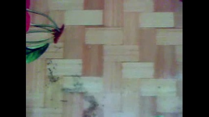 sezona da diniite.wmv