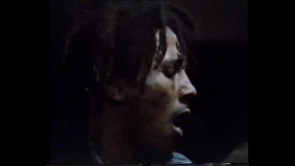 Bob Marley & The Wailers- Lively Up Yourself (1974)