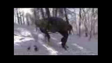 Boston Dynamics Big Dog (new video March 2008) 